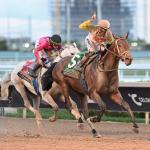 Skippylongstocking Wins Pegasus World Cup, Test Score Tops Undercard on Turf